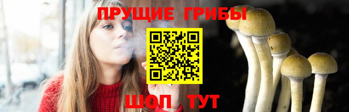 Вышний Волочёк  Галлюциногенные грибы GOLDEN TEACHER  наркотики  Вход с VPN 